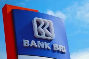 Tips Pengajuan Pinjaman Bank BRI Agar Cepat di Setujui