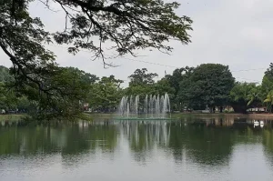 Taman Kambang Iwak Besak, Keindahan Alam dan Sejarah di Tengah Kota Palembang